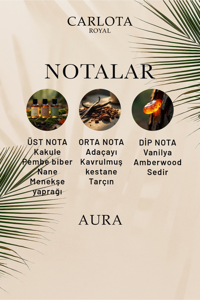 MATEO AURA 50ml Erkek Parfüm EDP 903 | Kalıcı Baharatlı Koku | Royal Seri