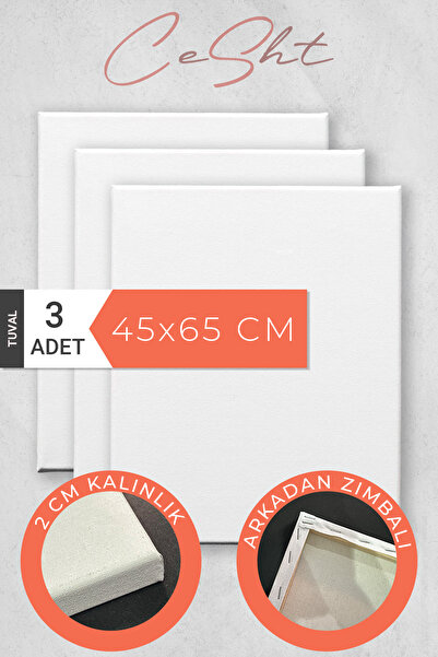CeSht 3 adet 45x65 CM Astarlı Tuval Yüksek Kaliteli