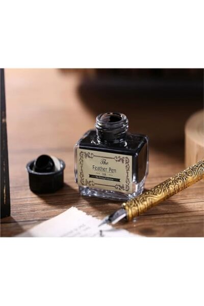 SKY TOUCH SKY-TOUCH Feather Pen Set: Nice Quill Pen with Metal Pen Handle Cool Calligraphy Pens with Nib Holde
