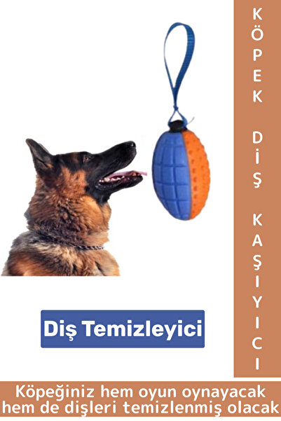 Wintoup Evcil Hayvan Büyük Küçük Irk Tüm Cinslere Uygun Diş Temizleyici Eğlenceli Köpek Diş Kaşıma Oyun Topu