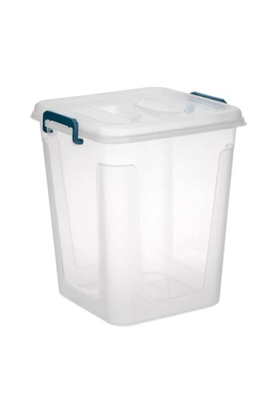 AB HOMES Cutie de depozitare cu capac și mânere, transparentă/benzină, 20 l