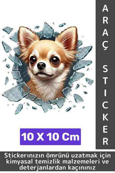 Wintoup ملصق سيارة بتصميم خاص معدل من الخارج، ممتع ومبتكر وأنيق ثلاثي الأبعاد...