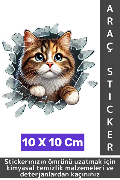 Wintoup ملصق سيارة بتصميم خاص معدل من الخارج، ممتع ومبتكر وأنيق ثلاثي الأبعاد...