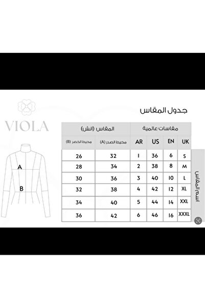 Viola Computer embroidered tulle dress