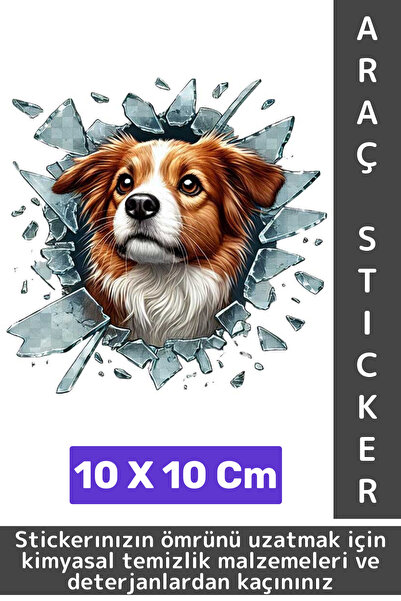 Wintoup ملصق سيارة بتصميم خاص معدل من الخارج، ممتع ومبتكر وأنيق ثلاثي الأبعاد...