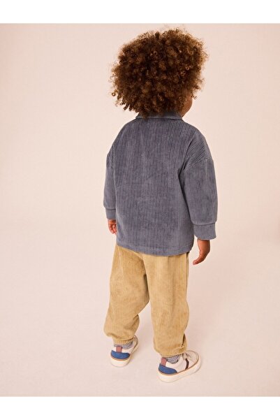 Next Baby Cotton Blue/Brown Jersey Velvet Shirt and Tracksuit Set