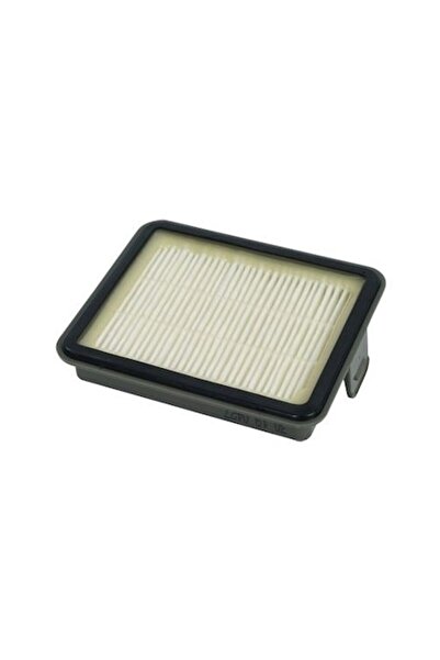 e-SWC Hepa Filter for Rowenta AirForce Serenity / Tefal, equivalent to ZR904501