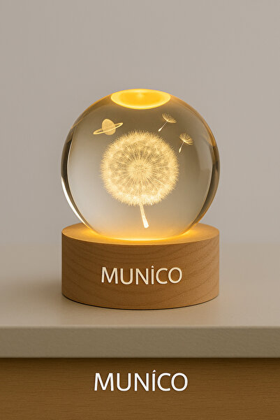 Munico Dekoratif Karahindiba Cam Küre – Büyük Boy, Işıklı, Ahşap Altlıklı, He...