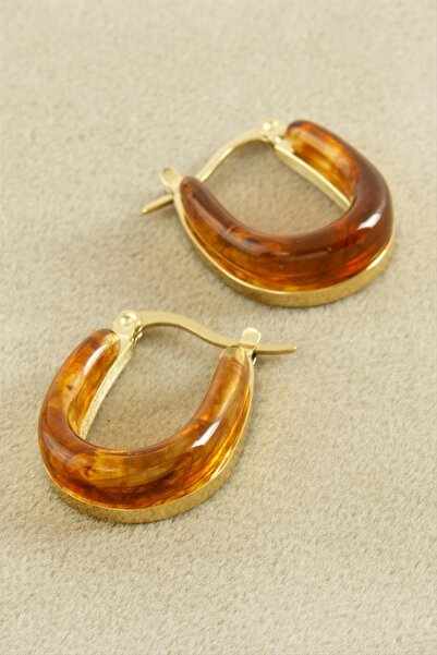 Okyanuss Accessories Oval Luxury Steel Earrings