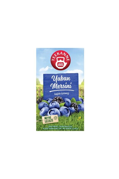 teekanne Yaban Mersini Karışık Bitki Çayı