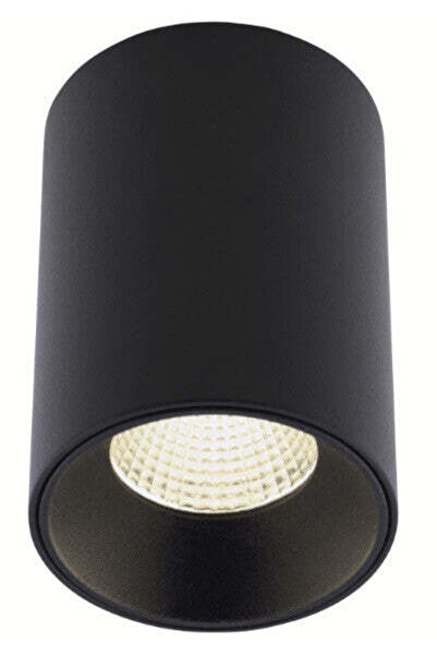 MAXLIGHT Spot Aplicat CHIP C0163