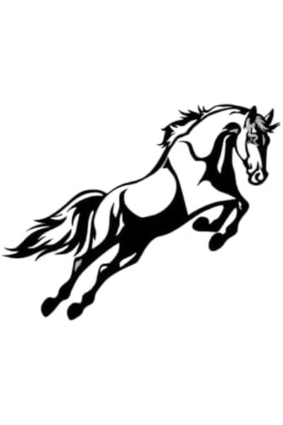 Slasa لوحة فنية جدارية من الأكريليك بتصميم حصان أسود لامع | مثالية لغرفة المع...