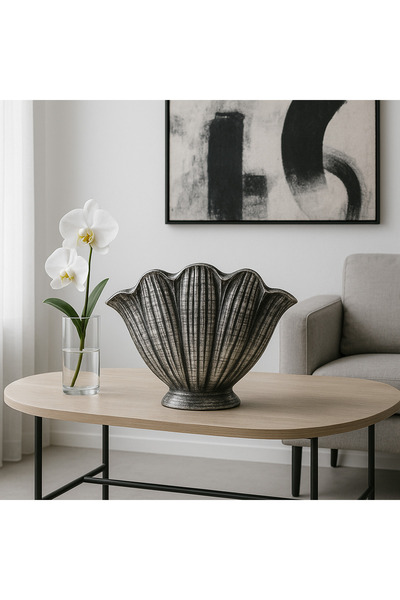 Decostonebiga SAKSI MİDYE BÜYÜK