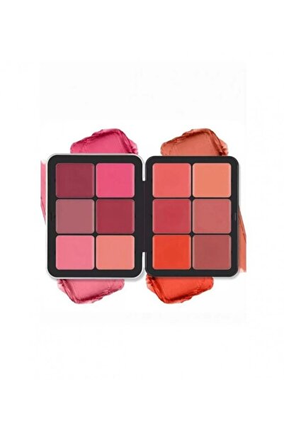ROYNZA 12 Color Powder Blush Makeup Set
