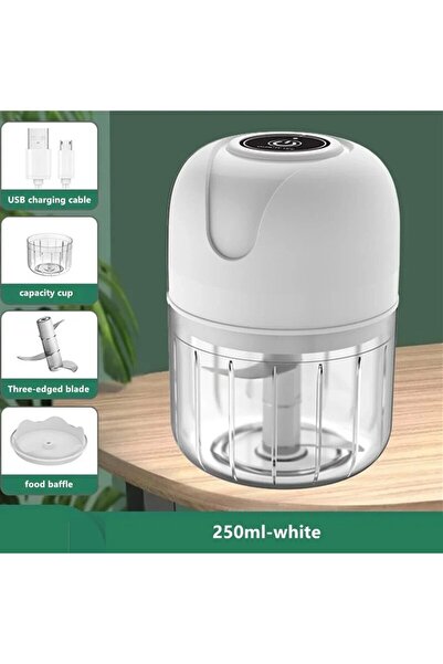 dalimag Electric Mini Chopper for Garlic and Vegetables, 100ml/250ml, 23W, ABS, Stainless Steel