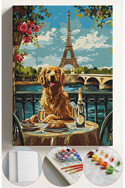 Sulepas Sayılarla Boyama Seti Numaralı Tuval Fırça Boya 40x50 Cm - PARİS GOLDEN