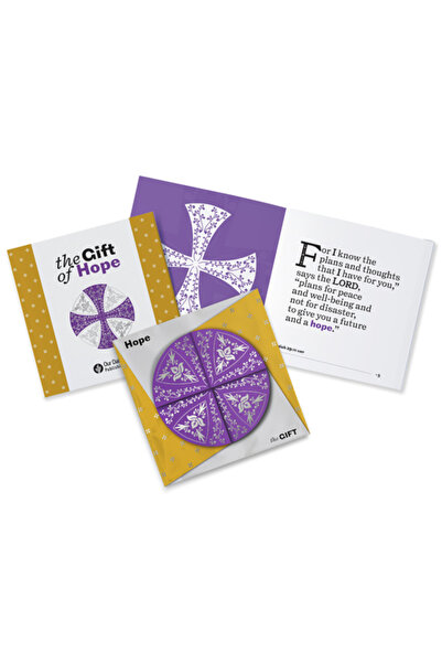 Discovery House Darul speranței