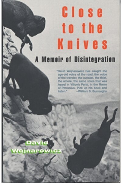 Vintage Books USA Aproape de cuțite: Un memoriu al dezintegrării