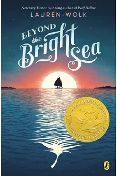 Puffin Books Dincolo de marea strălucitoare