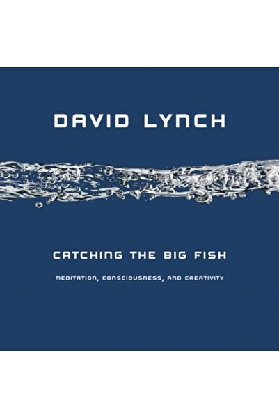 Jeremy P. Tarcher Prinderea peștelui mare: Meditație, conștiință și creativitate
