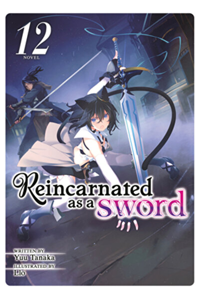 Airship Reincarnated as a Sword (Light Novel) Vol. 12