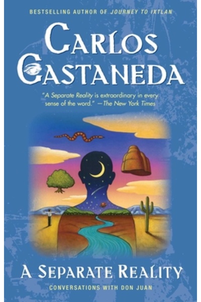 Washington Square Press Separate Reality