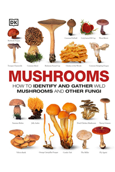 Glencoe Secondary Ciuperci: Cum să identifici și să culegi ciuperci sălbatice...