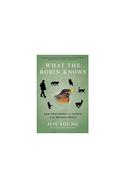 mariner books What the Robin Knows: How Birds Reveal the Secrets of the World