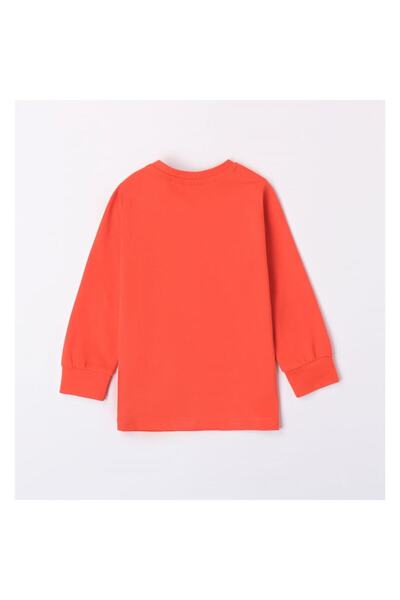 Sarabanda Bluza cu imprimeu pentru baieti, Sarabanda, Rosu, 92-98 cm