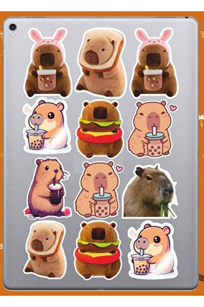 Hediyeni Al مجموعة ملصقات السنجاب |   ملصق للكمبيوتر المحمول والدفتر والتابلت والهاتف ودفتر الملاحظات ومجلة البوليت