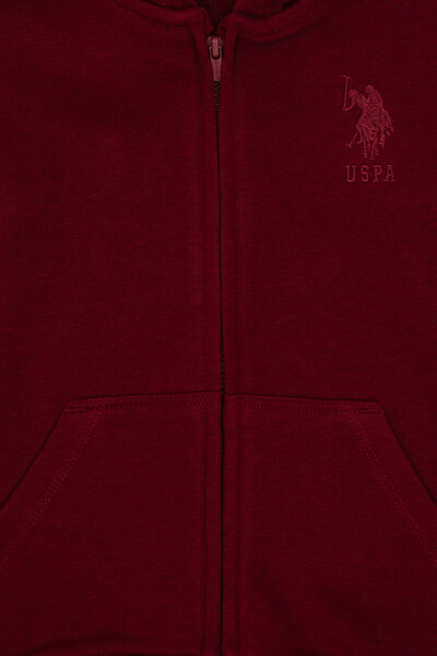 U.S. Polo Assn. سويت شيرت بقلنسوة أساسي باللون العنابي للأولاد 50308439-VR014