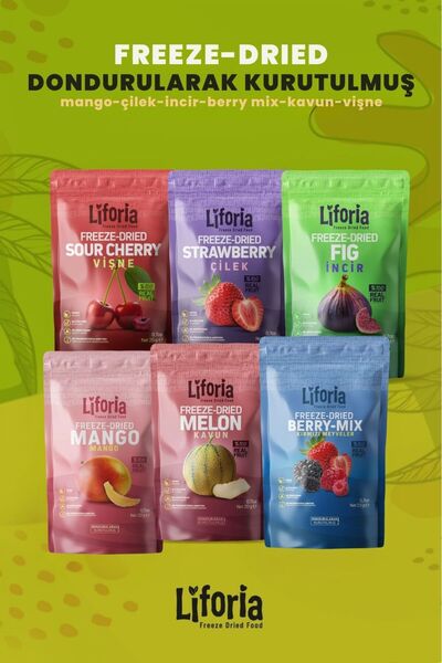 Liforia 6 عبوات من الفواكه المجمدة - وجبة خفيفة صحية - مزيج من المانجو والبطيخ والفراولة والكرز والتين