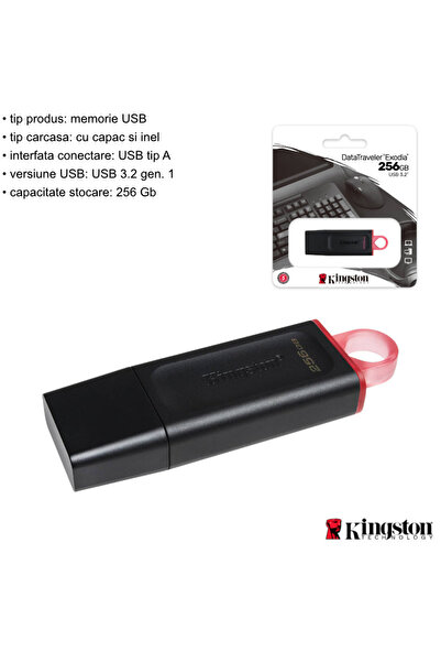 Kingston Stick de memorie USB 3.2 Gen 1, 256 GB, DataTraveler Exodia DTX-256 GB, cu capac și inel