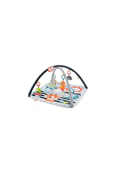 mattel Fisher Price Saltea Muzicala 3 In 1 Cu Centru De Activitati