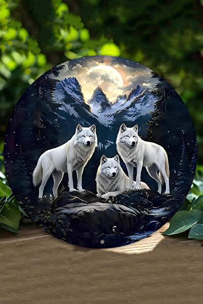 kutuTR Kurt Temalı UV Baskı 3D GÖRÜNÜMLÜ MDF Duvar Süsü – 33x33 cm & 20x20 cm...