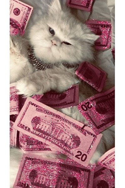 özkacar PARA İÇİNDE YATAN KEDİ Ev Duvar Salon Güzellik Salonu Ofis Dükkan Dekarasyon Kanvas Tablo