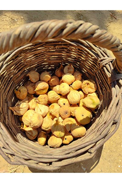 calimyrna Aydın Germencik Dağ İnciri – 1 kg|Bebe boy|Üreticiden Ballı & İnce Kabuk|Yeni Mahsul 2025|Sarılop|