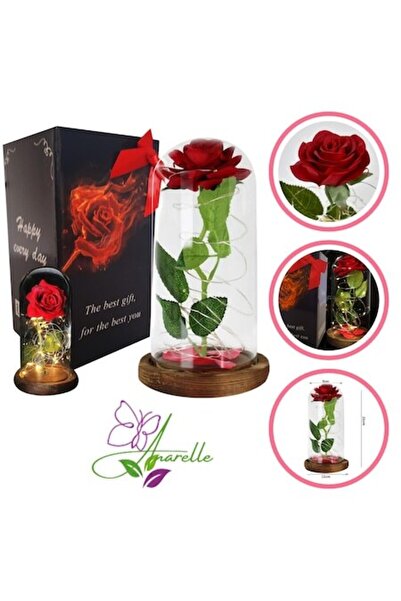 Manolex Trandafir etern cu LED în cupolă de sticlă, atmosferă caldă, durabil, elegant, bază din lemn