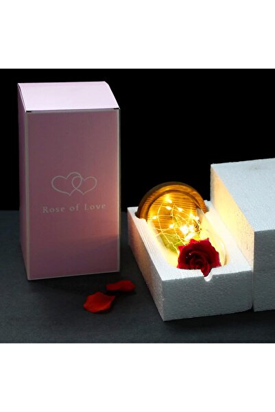 Manolex Trandafir etern cu LED în cupolă de sticlă, bază din lemn, cadou perf...