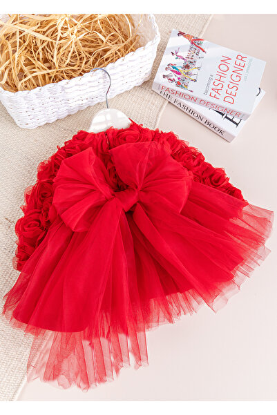 Babymod Stylish Birthday Special Occasion Baby Girl/Child Dress with Bow and Rose Tulle Detail