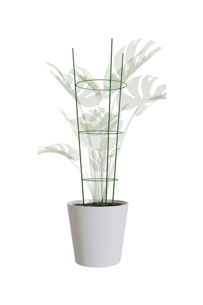 Garden with Ware Bitki Destek Kafesi 60 cm