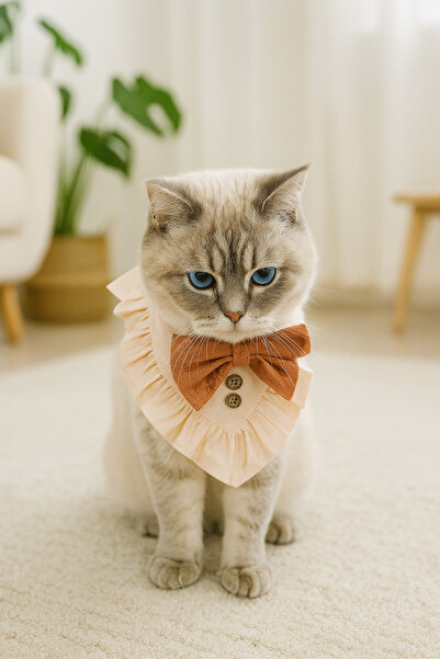 Quun Kedi Köpek Yakalık Aksesuar – Papyonlu, Rahat ve Ayarlanabilir Tasma