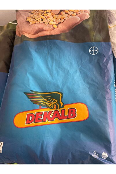 DEKALB Mısır tohumu