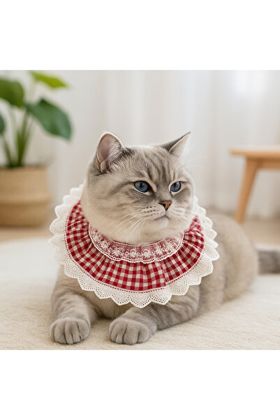 Quun Kedi Köpek Yakalık Aksesuar – Papyonlu, Rahat ve Ayarlanabilir Tasma