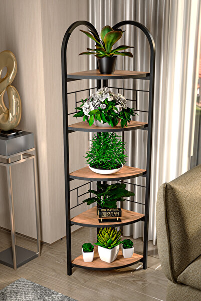 GOLDFALEZ Çiçeklik Saksılık 5 Raflı Kitaplık Çok Amaçlı Çalışma Odası Kütüphane Dekoratif Aksesuar Atlantik