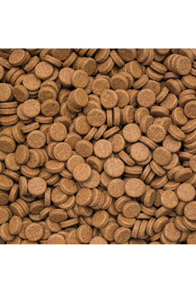 Tropical Vitality & Color Tablets - 50 Adet - Tablet balık yemi - Cama yapışa...