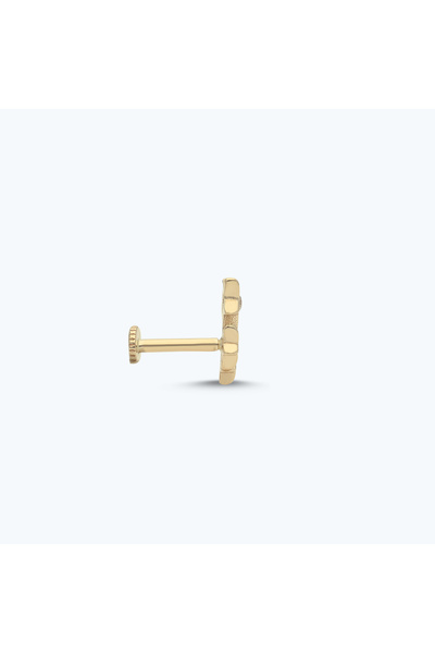 Altınbaş Altın Tragus Piercing