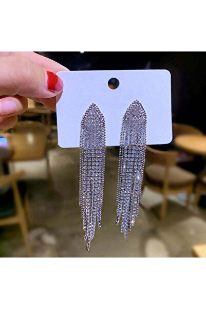 Pursehuit Cercei culoare argintie, lungi, cu clipsuri și pietre, Cattleya C4