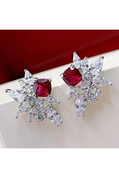 Pursehuit Cercei de culoare argintie cu pietre de zirconiu, Agna C16