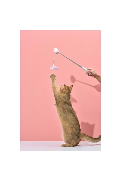 Pawgether Teaser 1/1S Cat Toy with Laser